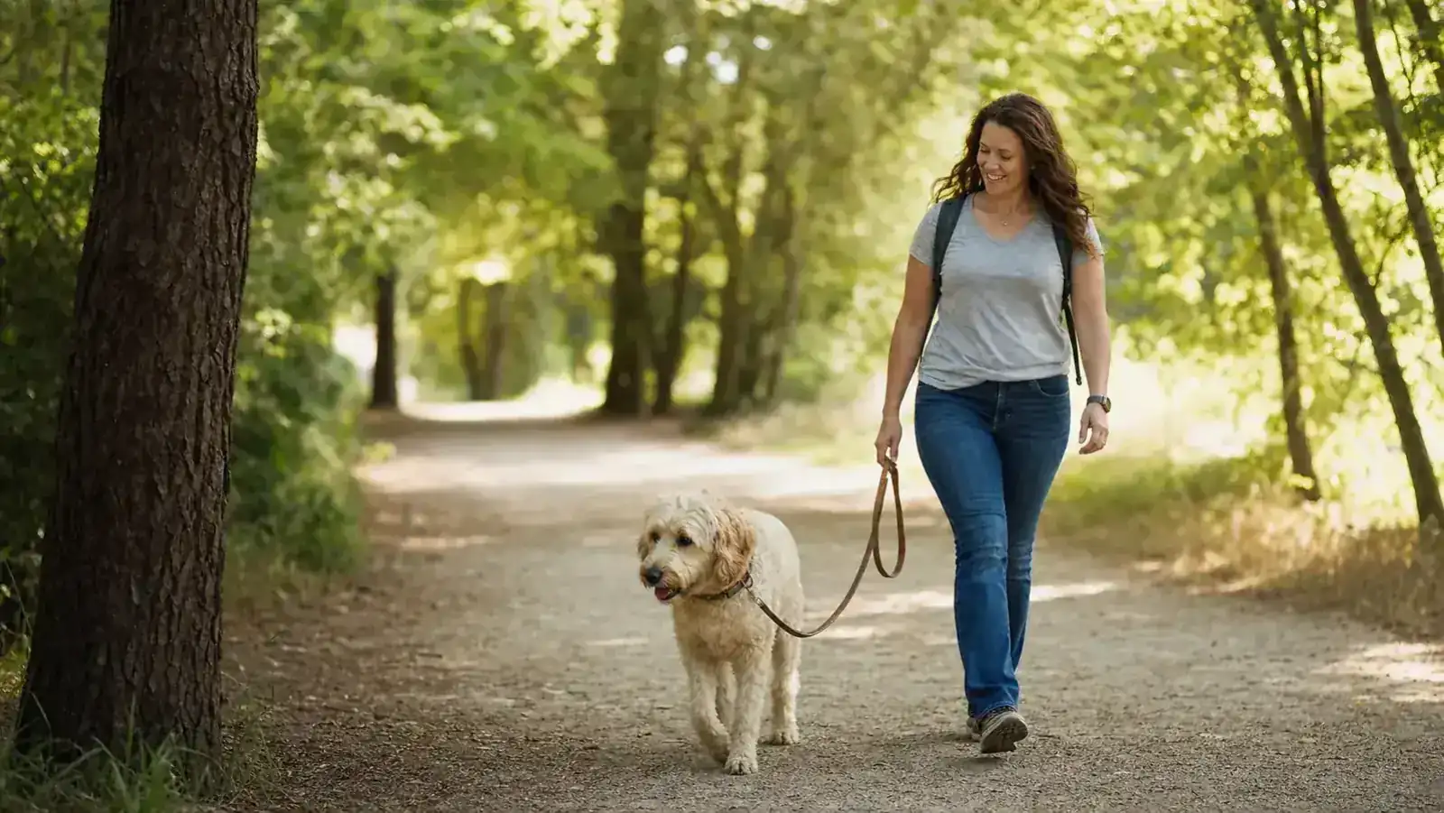 Dog and owner on a wooded trail, dog walking without tension on the leash