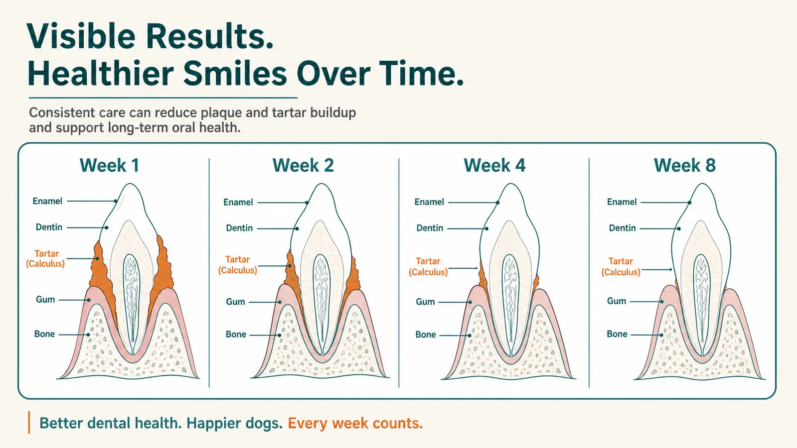 Illustration comparing plaque buildup on dog teeth at weeks 1 2 4 and 8 of daily dental chew use