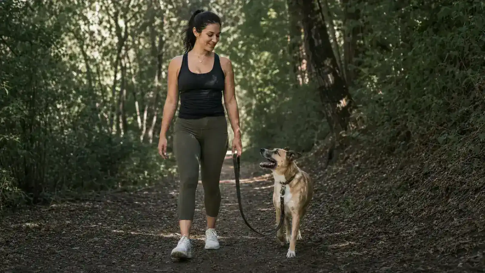 Dog and owner on a forest trail, dog walking calmly on a loose leash beside the owner
